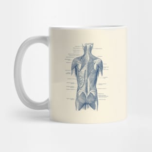 Human Muscular System - Back and Glutes - Vintage Anatomy Mug